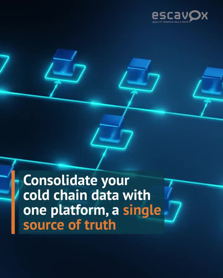 Escavox data-led factoid